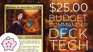 Marchesa the Black Rose  EDH Budget Deck Tech 25  Theft  Magic the Gathering  Commander [upl. by Sudhir]