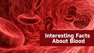 Interesting Facts About Blood │ PHHP Health Guide [upl. by Zailer146]