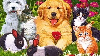 PETS ANIMALS  Learn Pets Animals  Sounds and Name  Kids and Toddlers animallifepetloverpets [upl. by Feirahs282]