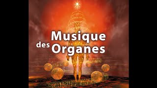 Musique Autoguérison du Corps  Purification et Nettoyage des organes [upl. by O'Conner]