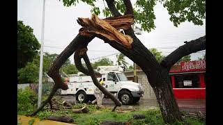 Hurricane Beryl devastates Cozumel island Mexico [upl. by Thorr795]