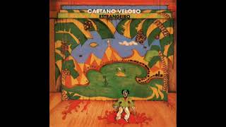 Caetano Veloso  Estrangeiro Album Completo [upl. by Heng485]