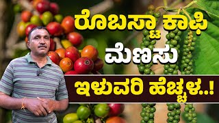 quotಅಕ್ಕ ಪಕ್ಕದ ತೋಟದವರು ಕೇಳ್ತಿದ್ದಾರೆquot  Robusta Coffee amp Pepper Farmer [upl. by Elwood]