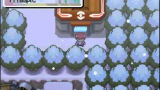 Lets play Pokémon Platine Nuzlocke Challenge 18  Jaime pas le patinage [upl. by Ancalin277]