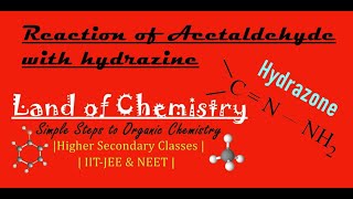 Reaction of Acetaldehyde with Hydrazine Hydrazone Carbonyl compounds Organic Chemistry Class12 [upl. by Eesdnil]