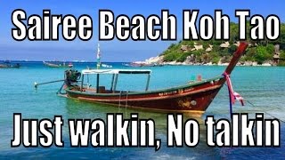 Koh Tao Sairee Beach Thailand quotWalkin No Talkinquot [upl. by Eeznyl]