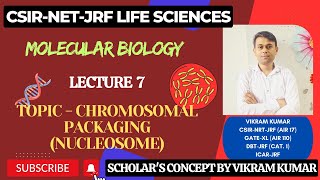 Chromosomal Packaging Chromatin  Packaging Ratio  30nm Fibre [upl. by Schlenger]