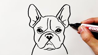 How to Draw a French Bulldog [upl. by Aiel333]