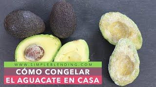 CÓMO CONGELAR EL AGUACATE EN CASA  Congelación casera del aguacate [upl. by Gombach147]