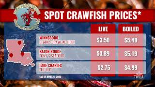 Crawfish Prices  April 8 2022 [upl. by Cathleen55]