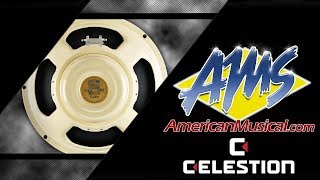 Celestion Alnico Cream  American Musical Supply [upl. by Ulphi72]