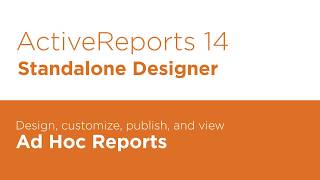 Introduction to the StandAlone Designer for NET Reports  ActiveReports [upl. by Squier]