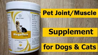 Dog JointMuscle Pain Supplement by Megaflex for Dog and Cat [upl. by Eiramait]