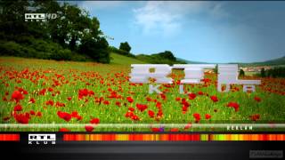 RTL Klub HD Hungary Spring Idents 2013 hd1080 [upl. by Lara500]