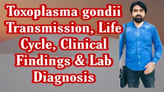 Lec9  Toxoplasma gondii  Life cycle  Transmission  Clinical finding  Lab diagnosis UrduHindi [upl. by Nilauqcaj]