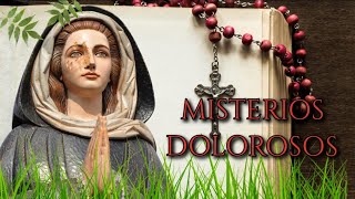 🌷 REZA el Santo ROSARIO COMPLETO con letanías y meditación martes y viernes 🌷 Misterios Dolorosos 🙏 [upl. by Mcilroy249]