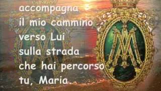 Canto Te Maria Ausiliatrice [upl. by Olimac]