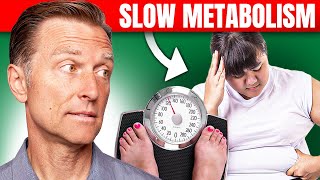 The Best Way to Fix a Slow Metabolism – Dr Bergs Expert Advice [upl. by Wistrup]