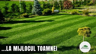 Gazonul la mijloc de toamnă Trifoiul Râme Boli iarna Scarificarea Biostimulatori Îngrășământ [upl. by Eceryt]