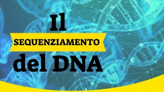 Il sequenziamento del DNA 🧬 [upl. by Gnoc]