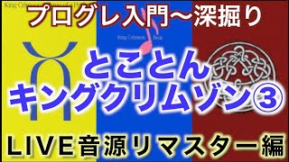 【プログレ解説】とことんキングクリムゾン❸【コレクター沼】 [upl. by Haisa]