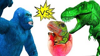 Dinosaurios vs gorila huevos lucha  Dibujos animados de dinosaurios para niños  Película de dinosa [upl. by Noerb]