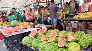 A FEIRA DE PANELASPE ACONTECEU HOJE OLHA SÓ QUEM ENCONTRAMOS [upl. by Aerdnod]