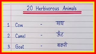 20 Herbivorous Animals Name in english and hindi  Herbivores Animals Name  शाकाहारी जानवरों के नाम [upl. by Teerprug]