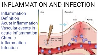 TopicInflammation and infectionSubject PathologyBsc nursing 2nd year [upl. by Ramin]