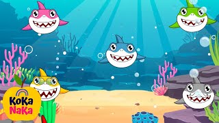 Baby Shark Doo Doo Doo Dance  KoKa NaKa Nursery Rhymes amp Kids songs [upl. by Mccutcheon]