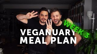 WEEK 3 🔥 VEGANUARY MEAL PLAN 🌱 [upl. by Ase]