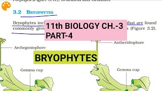 Class 11 BiologyCh3 Part4BryophytesStudy with Farru [upl. by Dorree]