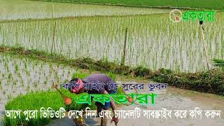 কপি রাইট ফ্রি বাংলা গানভালো লাগেনকীব খান copy right freevalo lage with naqib khan [upl. by Dewitt]