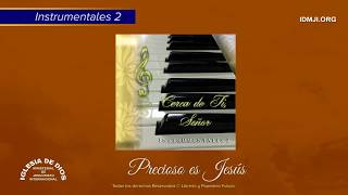 Instrumental Precioso es Jesús  IDMJI [upl. by Eenram224]