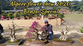 Bonsai Exhibition at Kolkata 2020 [upl. by Aniretak]