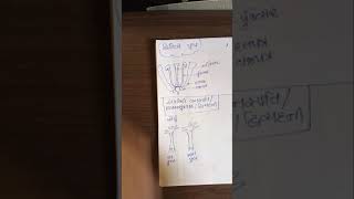 L10 Description of homothallic and heterothallic plants [upl. by Neersan]