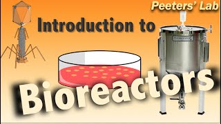 Introduction to bioreactors [upl. by Amador20]