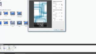 MicroImage Capture Tutorial  Add Brightness to Snagit image or print [upl. by Ahseekal]