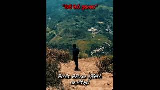 මැයි මාර ප්‍රසංගය සිනමාවට නැගෙයි shorts [upl. by Ytinav]