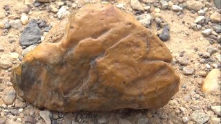 حجر الليمونيت ومعلومات Limonite [upl. by Napas30]