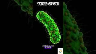 UTI Types  By Prof Ashish Baldi [upl. by Waterer]