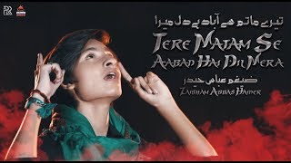 Noha  Tere Matam Se Aabad Hai Dil Mera  Zaigham Abbas Haider  2017 [upl. by Boleyn392]