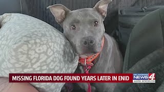 Missing Florida dog found years later in Enid [upl. by Aicelf62]