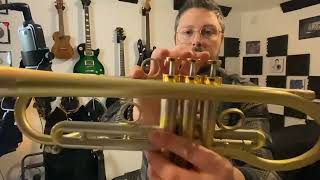 Review Aliexpress Trumpet  Forest [upl. by Fleisig]