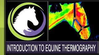 Equitopia presents An Introduction to Equine Thermography [upl. by Jephthah]