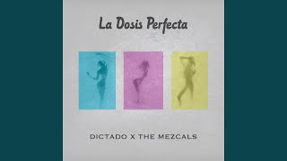 La Dosis Perfecta feat The Mezcal´s [upl. by Adihsaar16]