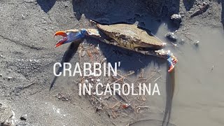 Crabbin in Carolina  Fishing Charleston SC [upl. by Ayotahc]