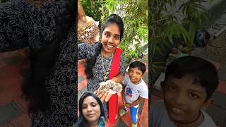 bee malayalam food honey klbrobijurithvik comedy funny klbrobijurithwik nature [upl. by Berkeley]