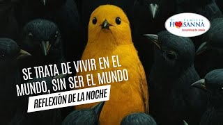 Se trata de vivir en el mundo sin ser del mundo ReflexiónDeNoche Lunes 2 Septiembre 2024 PadreJohn [upl. by Akeyla]