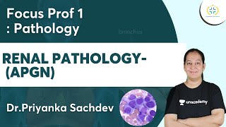 Renal PathologyAPGN  Focus Prof 1 Unacademy Future Doctors  DrPriyanka [upl. by Juliano]